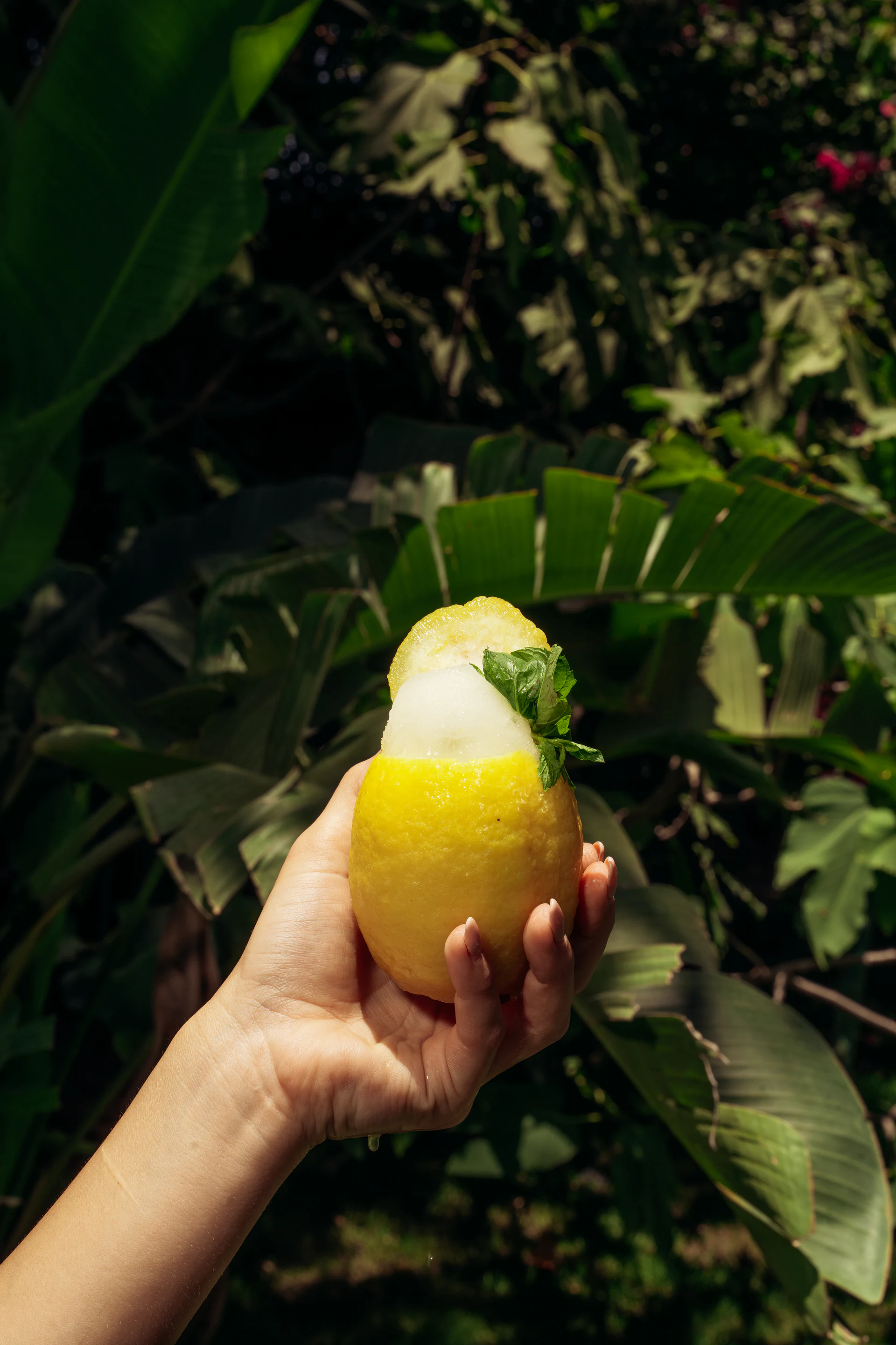 Frozen green summer drink held against tropical leaves